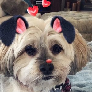 Meet your Posher, Paulette